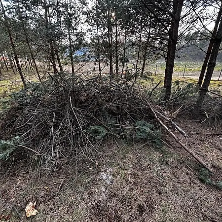 Holiday home Bor I Woda - Klimatyczny, Drewniany Dom W Sercu Jezior I Lasow *