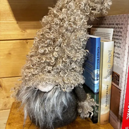 Bor I Woda - Klimatyczny, Drewniany Dom W Sercu Jezior I Lasow