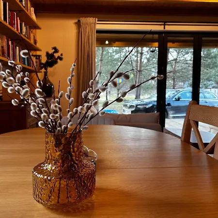 Holiday home Bor I Woda - Klimatyczny, Drewniany Dom W Sercu Jezior I Lasow Niesiolowice