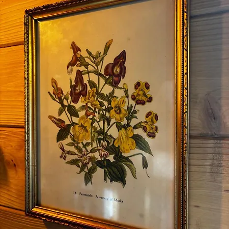 Casa vacanze Bor I Woda - Klimatyczny, Drewniany Dom W Sercu Jezior I Lasow Niesiolowice