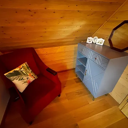 Holiday home Bor I Woda - Klimatyczny, Drewniany Dom W Sercu Jezior I Lasow Niesiolowice