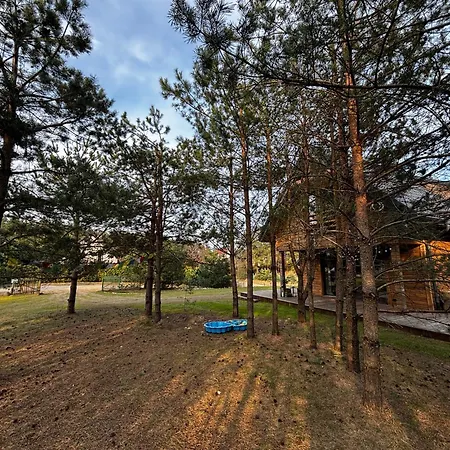 Bor I Woda - Klimatyczny, Drewniany Dom W Sercu Jezior I Lasow *