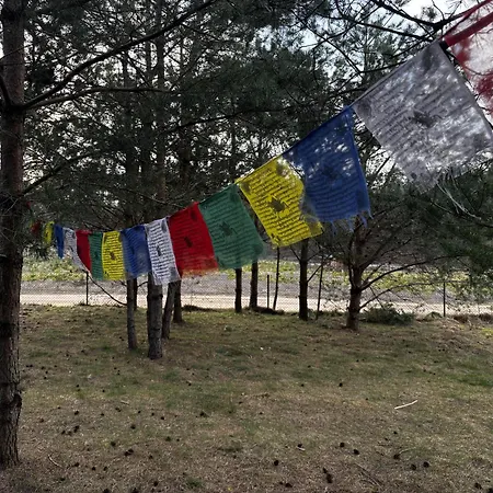 Casa vacanze Bor I Woda - Klimatyczny, Drewniany Dom W Sercu Jezior I Lasow