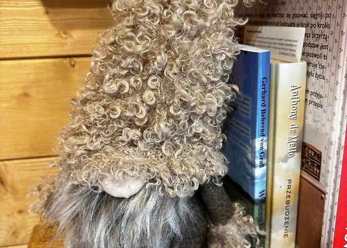 Bor I Woda - Klimatyczny, Drewniany Dom W Sercu Jezior I Lasow